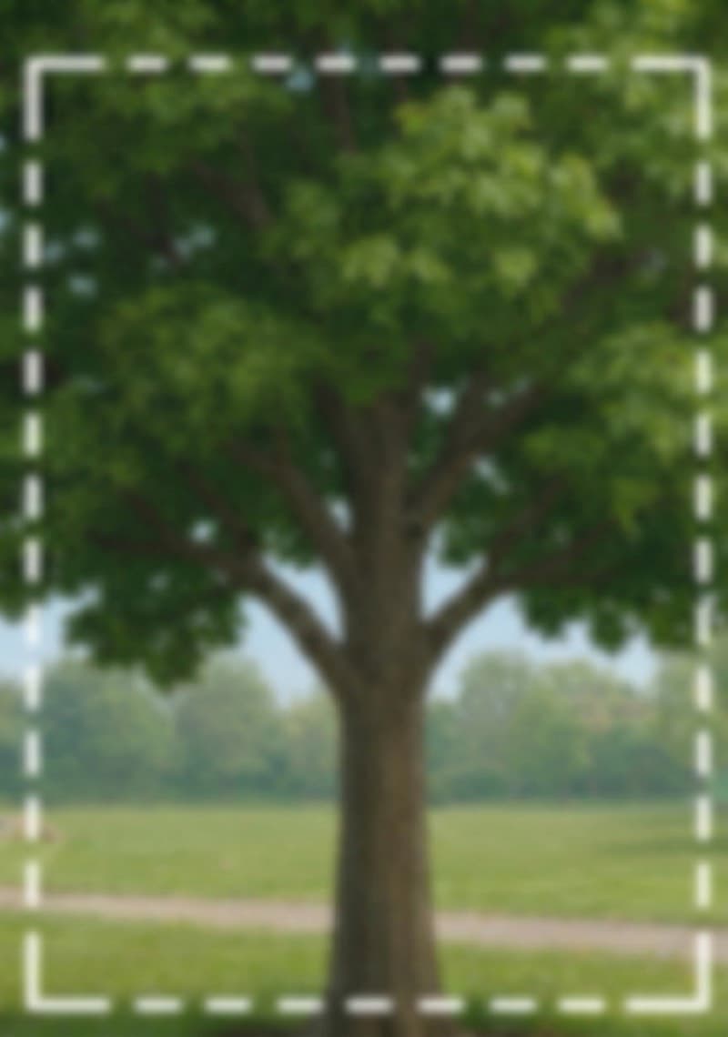 Falsche Gesamtansicht - verwackelt, Baum abgeschnitten, unscharf