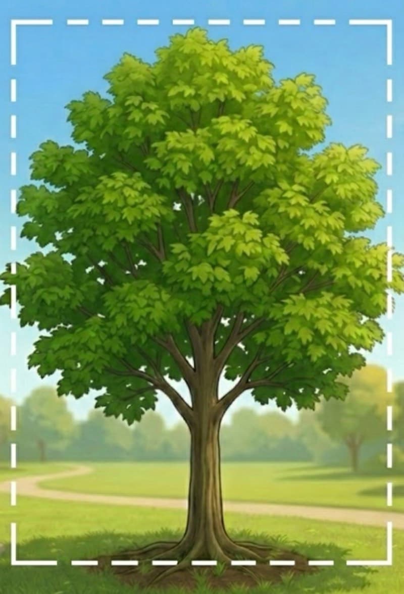 Richtige Gesamtansicht des Baumes - ganzer Baum sichtbar, gut beleuchtet, scharf